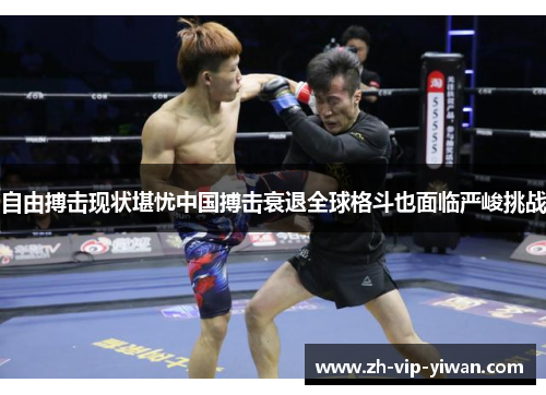 自由搏击现状堪忧中国搏击衰退全球格斗也面临严峻挑战